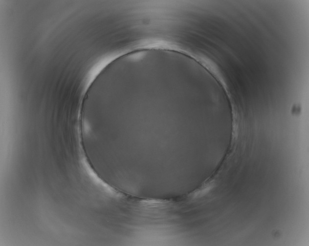 X0000112020863200908241513