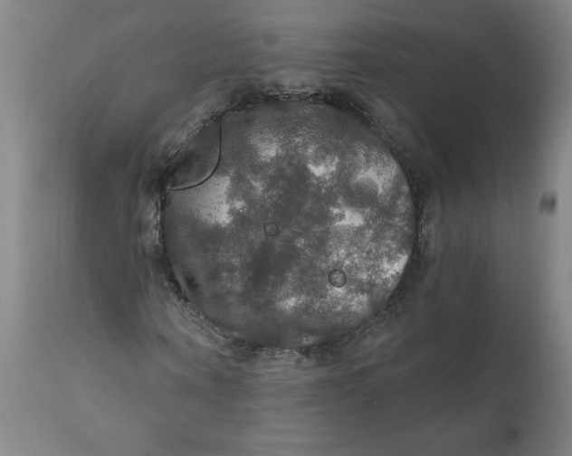 X0000112020866200908241512