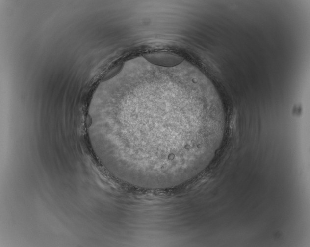 X0000112020868200908241512