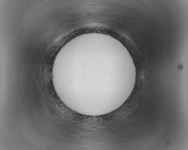 X0000112020869200908241512