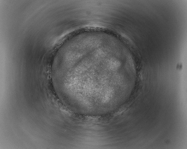 X0000112020870200908241512