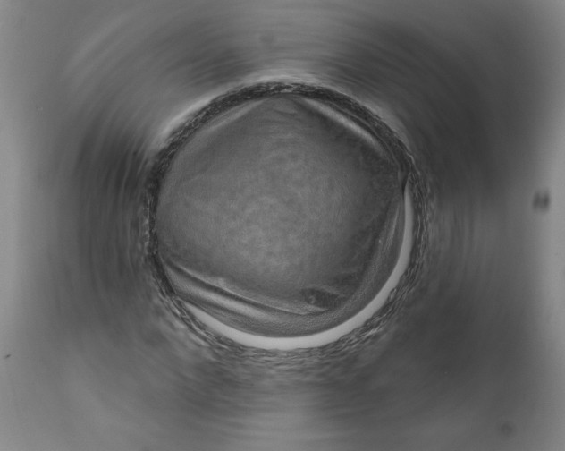 X0000112020872200908241512