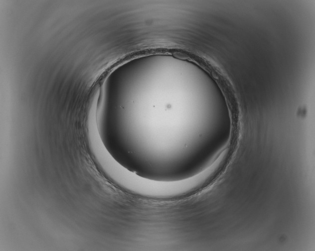 X0000112020873200908241512