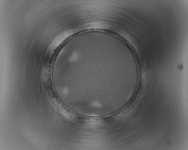 X0000112020874200908241512