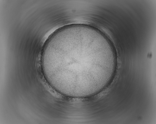 X0000112020875200908241512