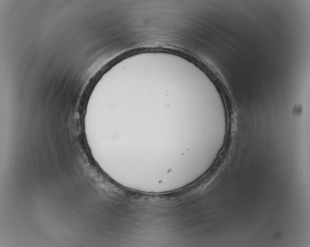 X0000112020876200908241512