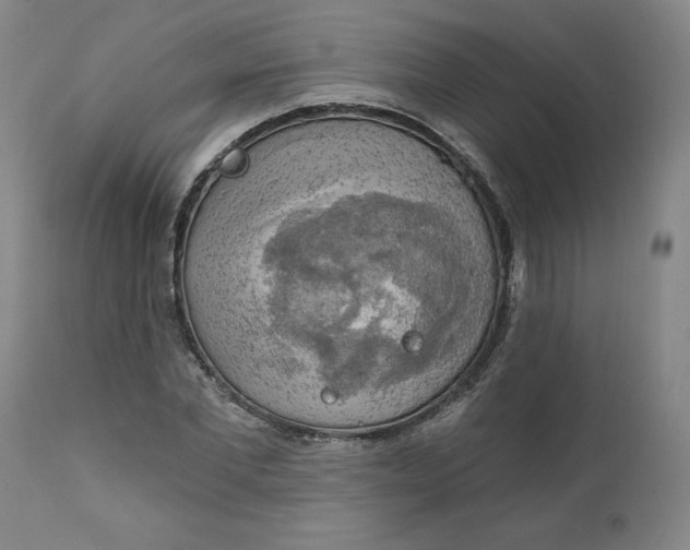 X0000112020877200908241512