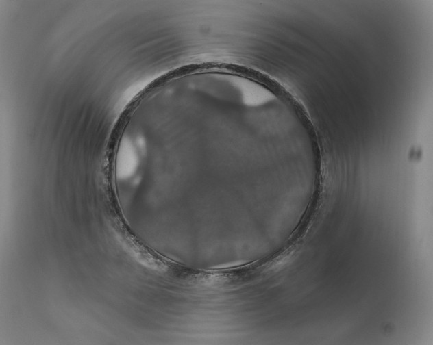 X0000112020879200908241512