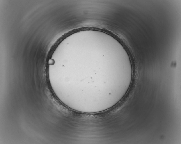 X0000112020880200908241512