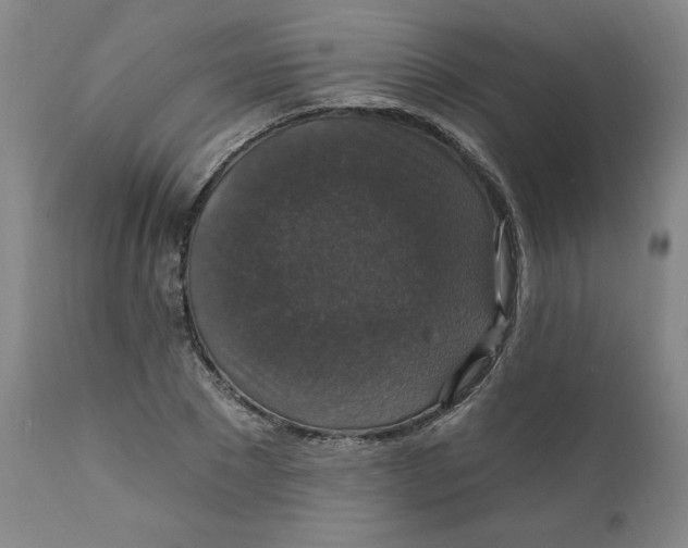 X0000112020881200908241512