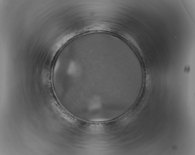 X0000112020882200908241512