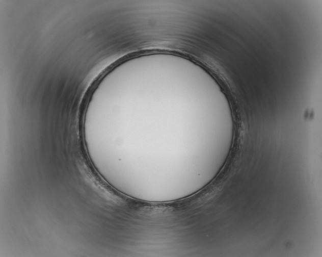 X0000112020884200908241512