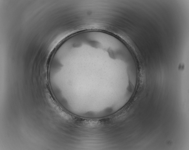 X0000112020886200908241512