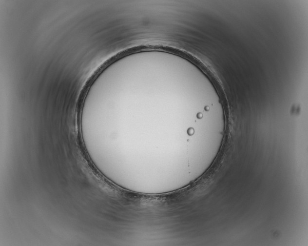 X0000112020887200908241512