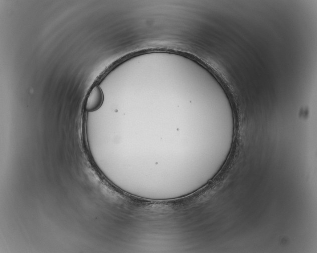 X0000112020888200908241512