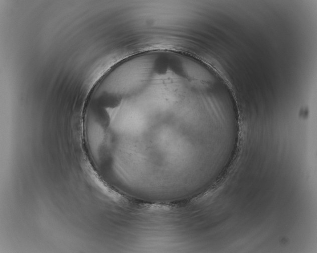 X0000112020890200908241512