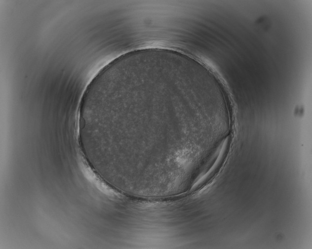 X0000112020892200908241512