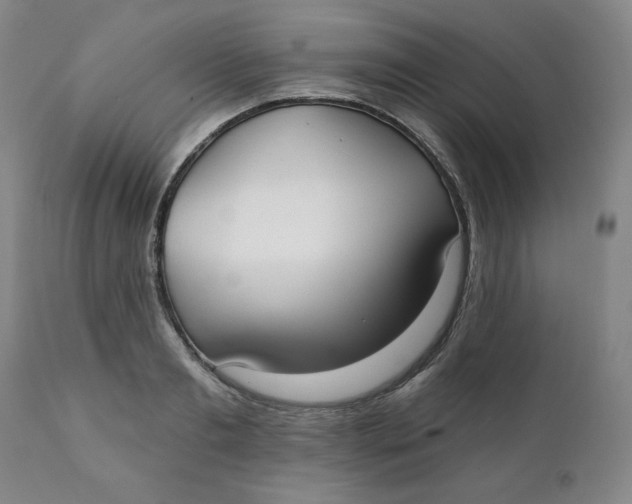 X0000112020893200908241512