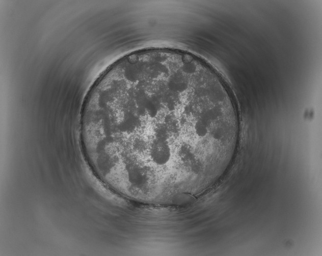 X0000112020895200908241512