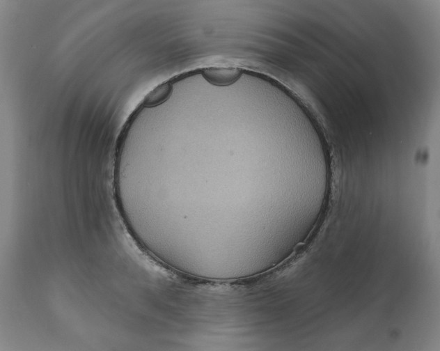 X0000112020896200908241512