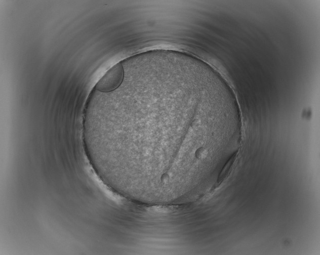 X0000112020898200908241512