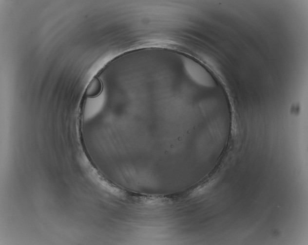 X0000112020899200908241512