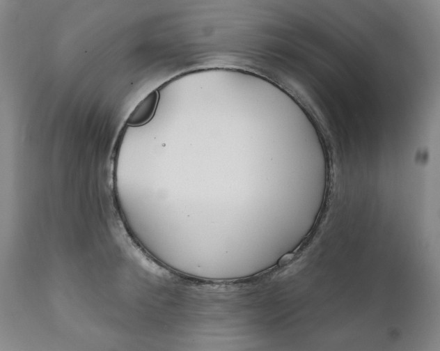 X0000112020900200908241512