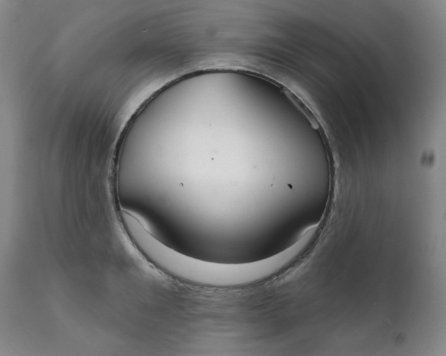 X0000112020901200908241512