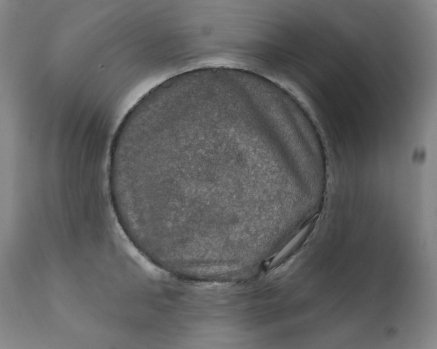 X0000112020902200908241512