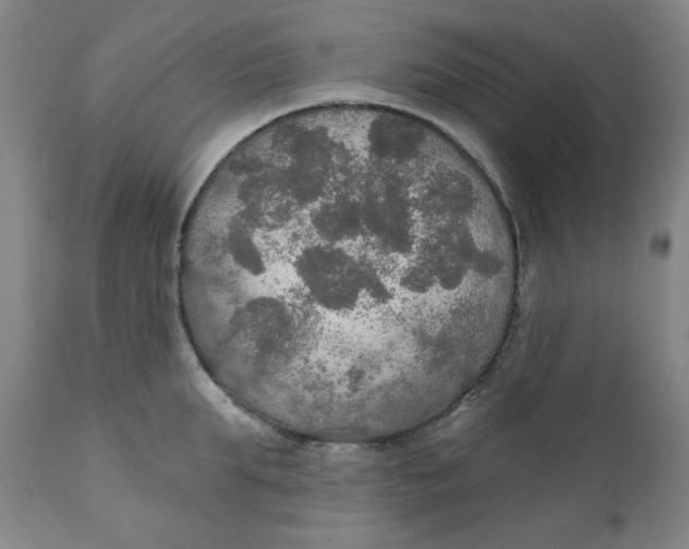 X0000112020903200908241512