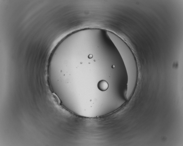 X0000112020904200908241512