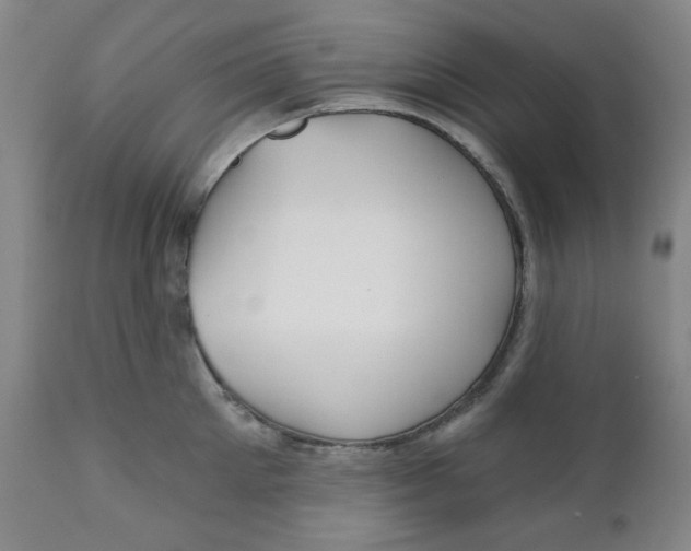 X0000112020905200908241512