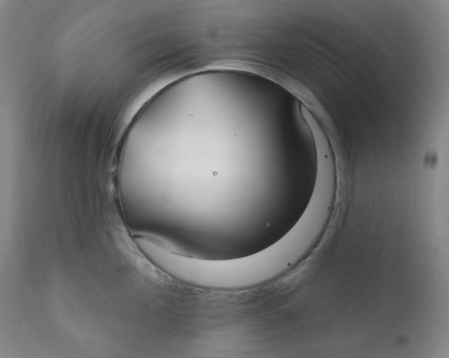 X0000112020908200908241512