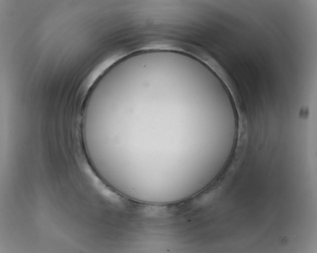 X0000112020909200908241512