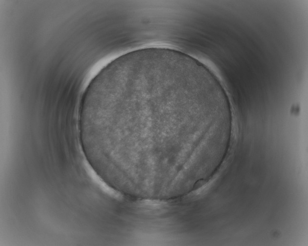 X0000112020910200908241512