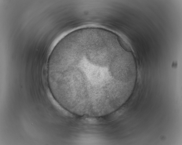 X0000112020911200908241512