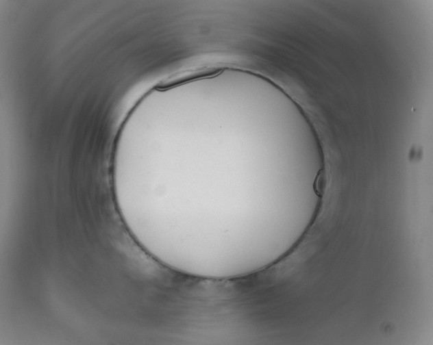 X0000112020912200908241512