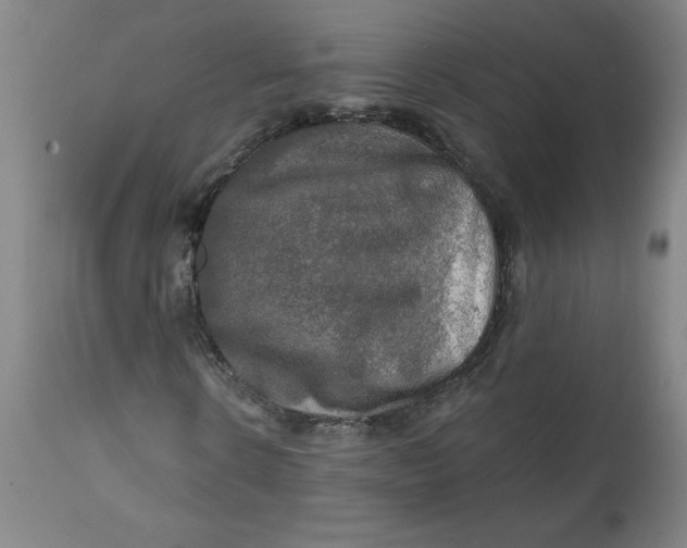 X0000112020914200908241511