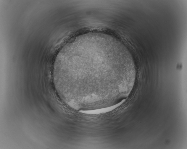 X0000112020916200908241511