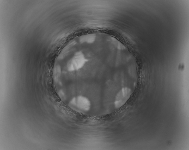 X0000112020917200908241511