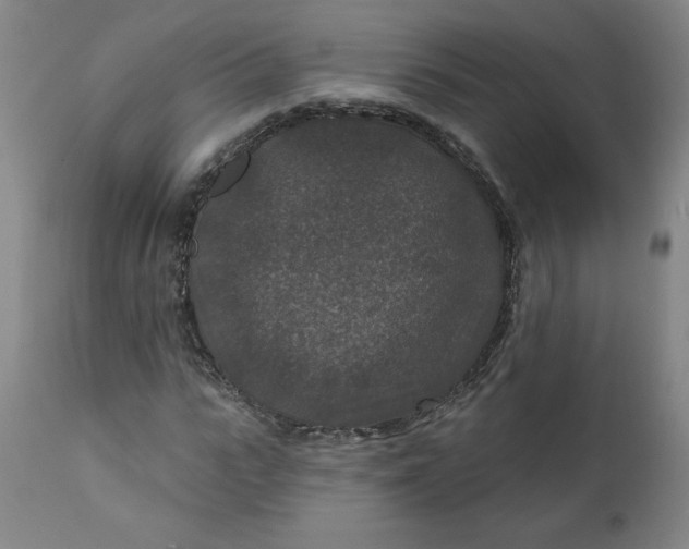 X0000112020919200908241511