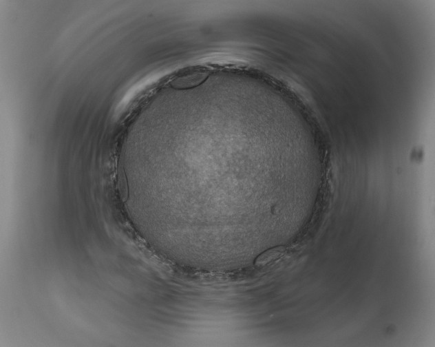 X0000112020920200908241511