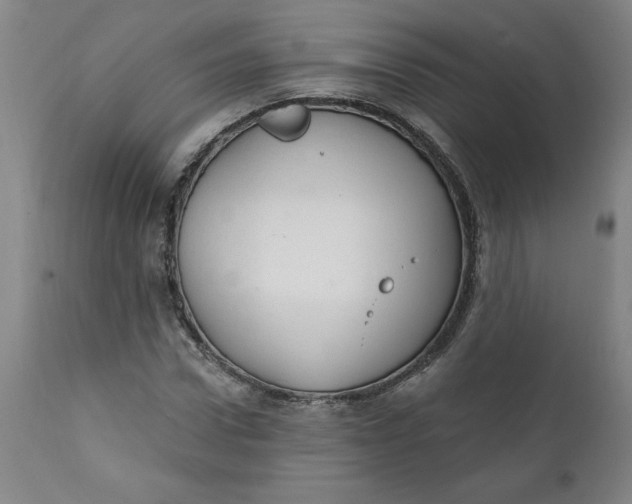 X0000112020922200908241511