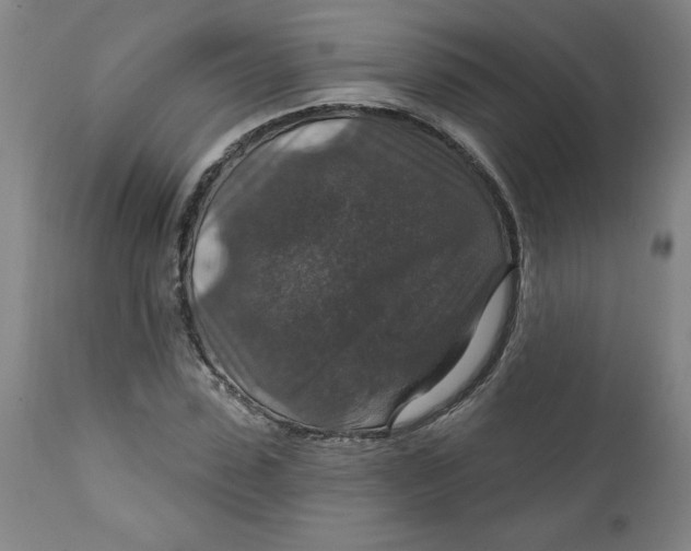 X0000112020923200908241511