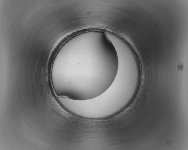 X0000112020924200908241511