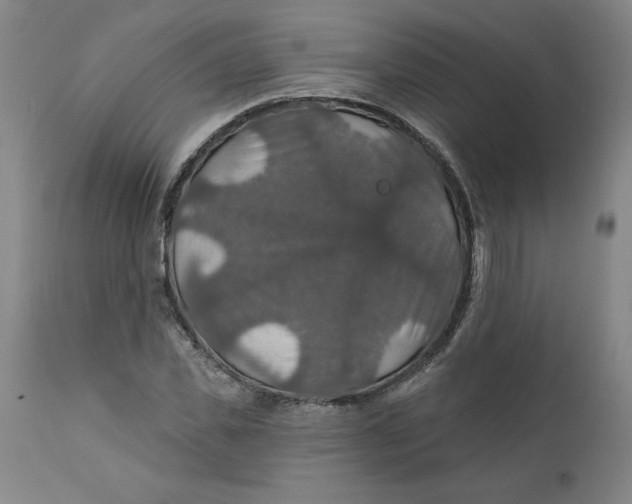 X0000112020925200908241511