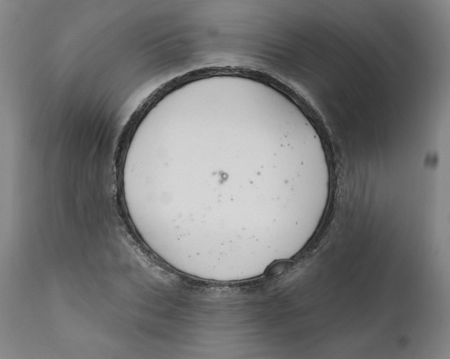 X0000112020927200908241511