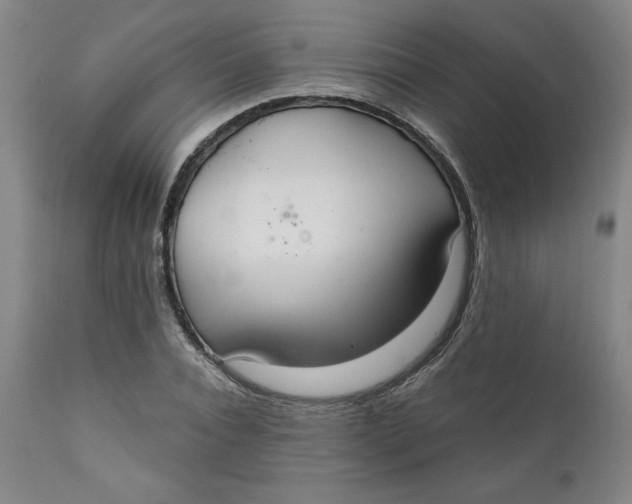 X0000112020928200908241511