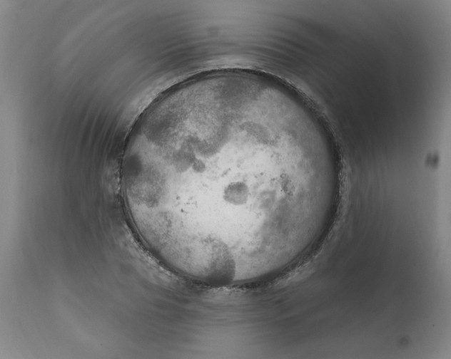 X0000112020929200908241511