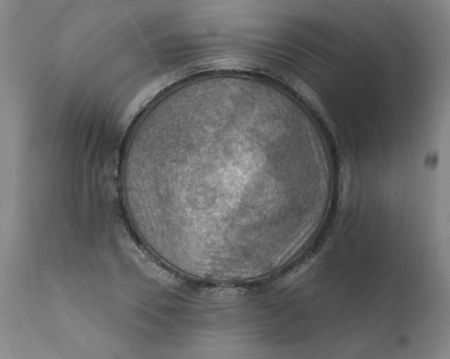 X0000112020930200908241511